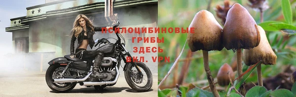 первитин Арсеньев