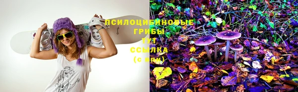 первитин Арсеньев