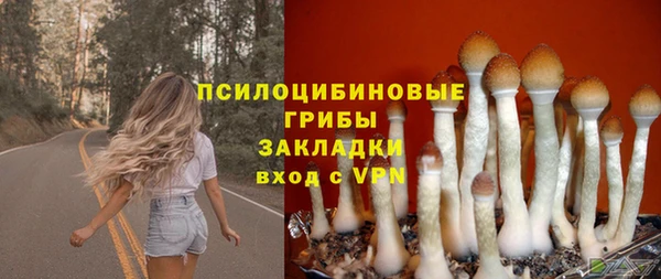 бутират Армянск